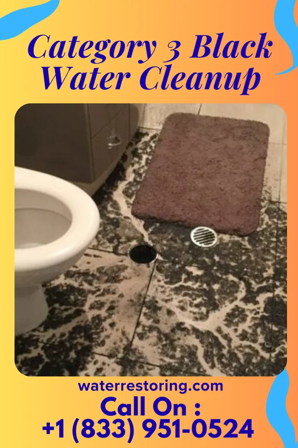 Category 3 Black Water Cleanup in Pilot Knob, MO